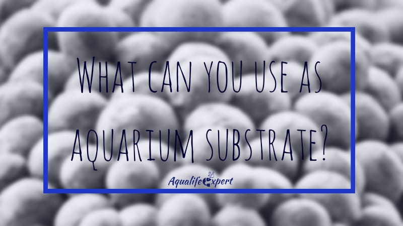 what can you use as aquarium substrate feature image