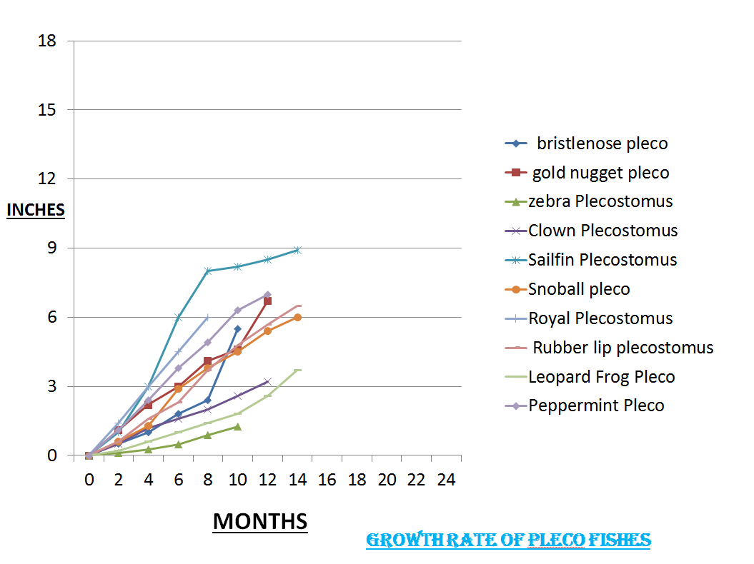 pleco fishes growth rate graph
