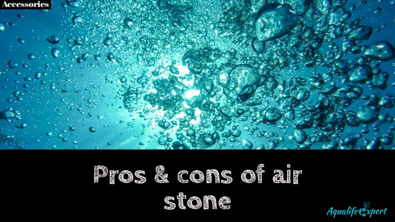 Pros and cons of air stone of aquarium