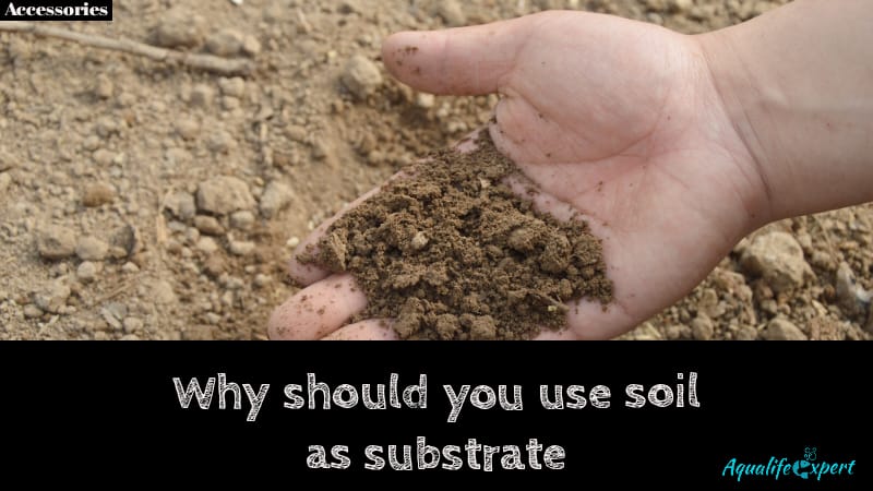 why should you use soil as substrate