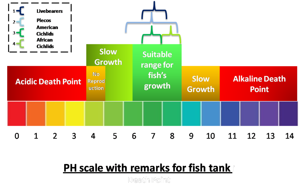 How Much Important The pH Is for A Fish Tank? & how to control it