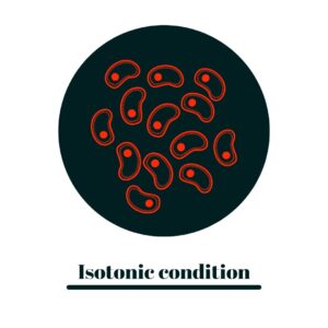 isotonic condition