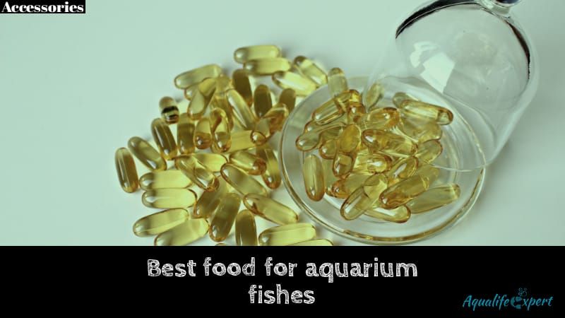 best food for aquarium fish