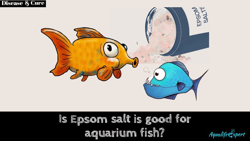 Is EPSOM Salt Good For Aquarium? BEST Medication For Fish