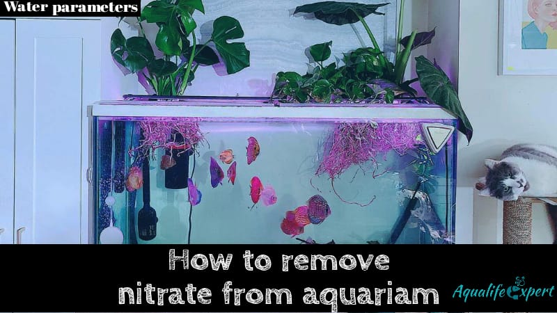 remove nitrate from aquarium