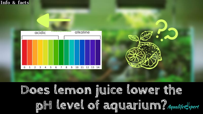 Does lemon juice lower the pH of aquariums
