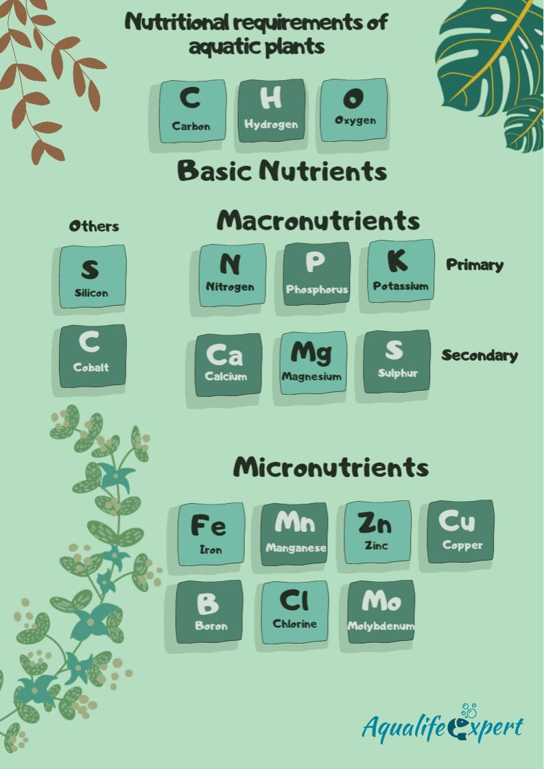 Macro & Micronutrients requirement for plants