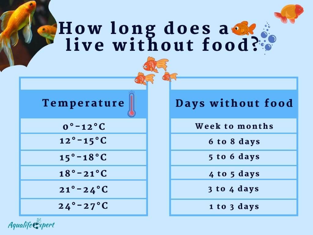 How long does a goldfish live without food