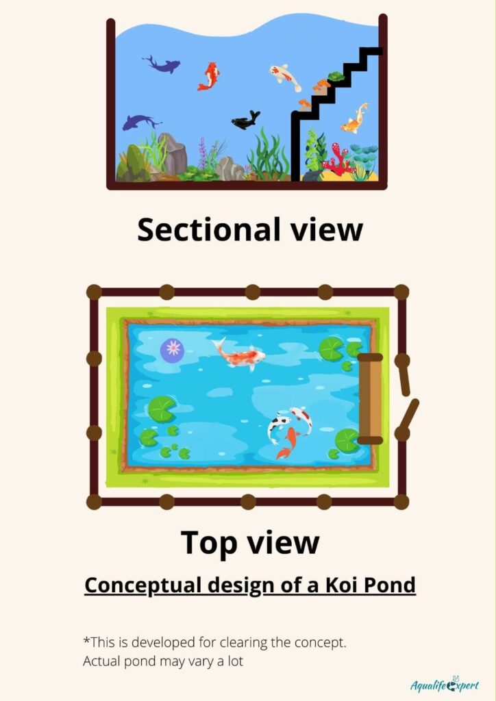 Koi pond design 