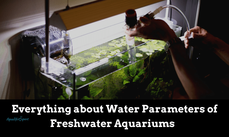 Water parameters aquarium