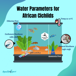 Water parameters for African cichlids