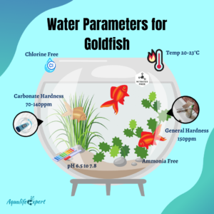Water parameters for goldfish