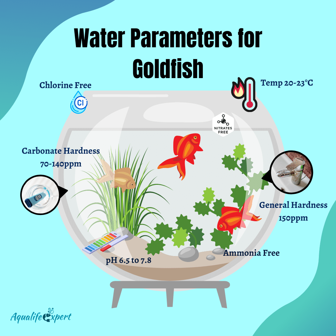 Everything about Water Parameters of Freshwater Aquariums Aqua Life