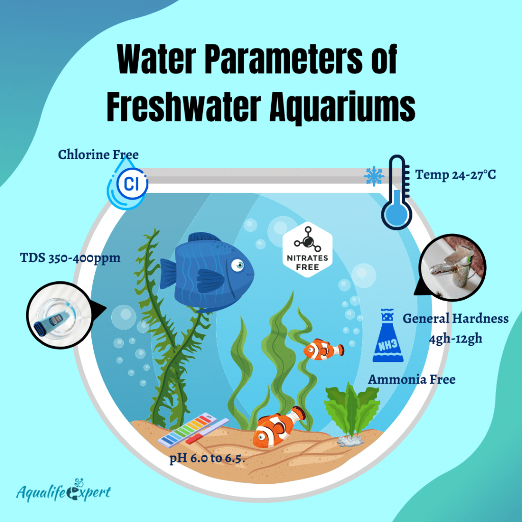 Water Parameters of Freshwater Aquariums
