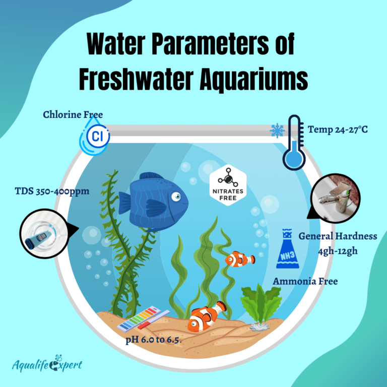 everything-about-water-parameters-of-freshwater-aquariums-aqua-life