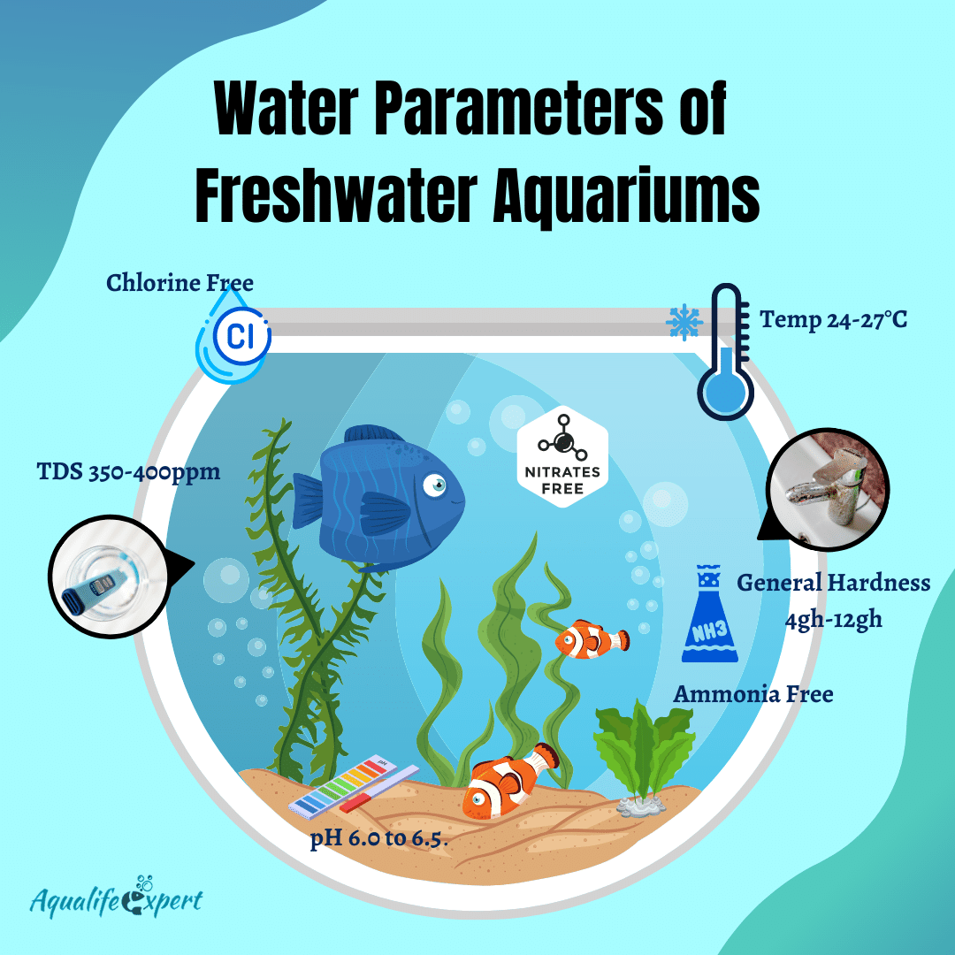 Everything about Water Parameters of Freshwater Aquariums Aqua Life Expert